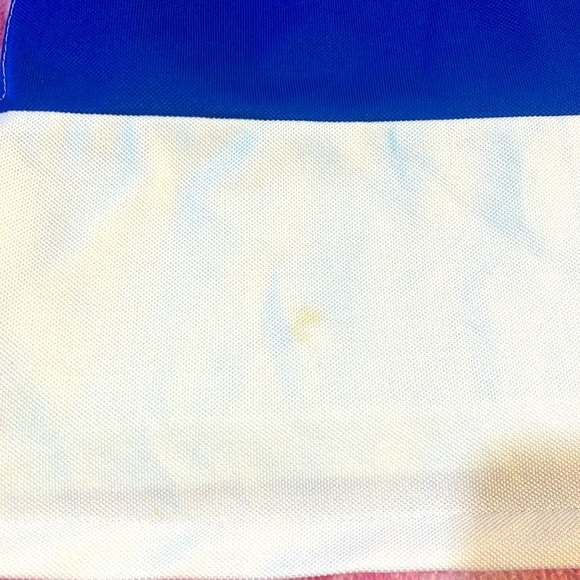 Toddler Polo by Ralph Lauren White and Blue Polo Shirt - Picture 4 of 4